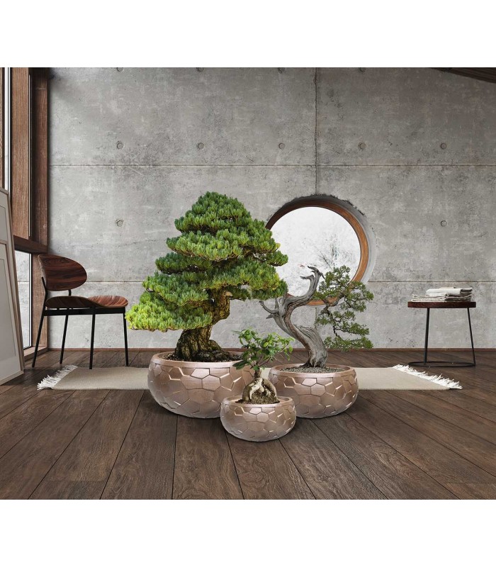 Set de 3 maceteros CANELA Schuller